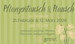 Green Striped Monstera Deliciosa Plant Motivational Desktop Wallpaper (1)